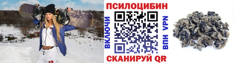 где купить   MEGA онион  Галлюциногенные грибы мицелий  Саки 